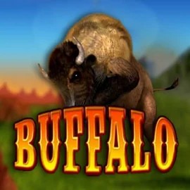 Buffalo Bingo logo by MGA Games at Robocat Casino